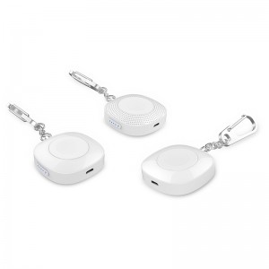 Portable Keychain Apple Watch Power Bank Charger